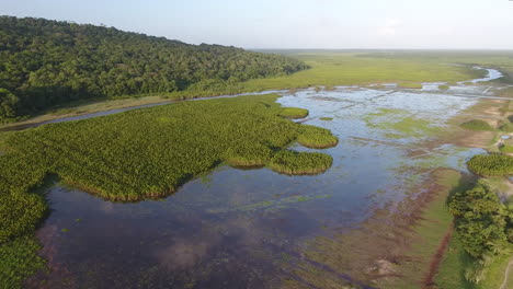 Kaw-Sumpf-Naturschutzgebiet-In-Französisch-Guayana.-Feuchtgebiete-Und-Schwimmende-Savannendrohne